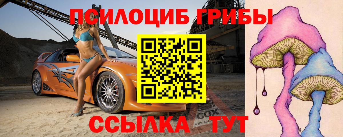 Псилоцибиновые грибы Psilocybine cubensis Симферополь